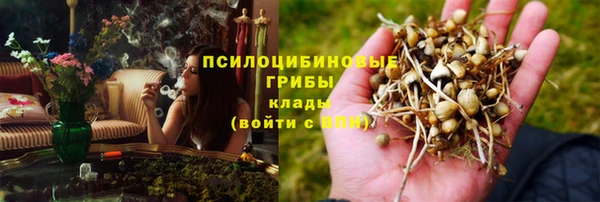 стафф Богородицк